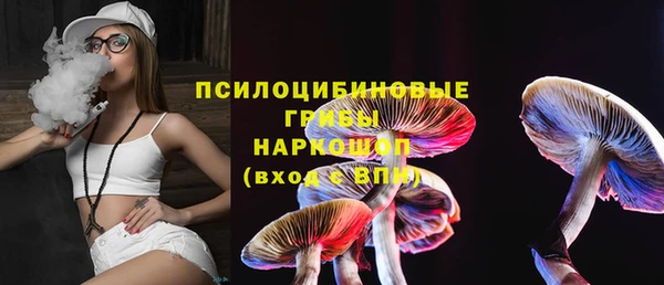 МДПВ Покровск