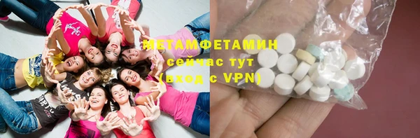 прущие грибы Покачи