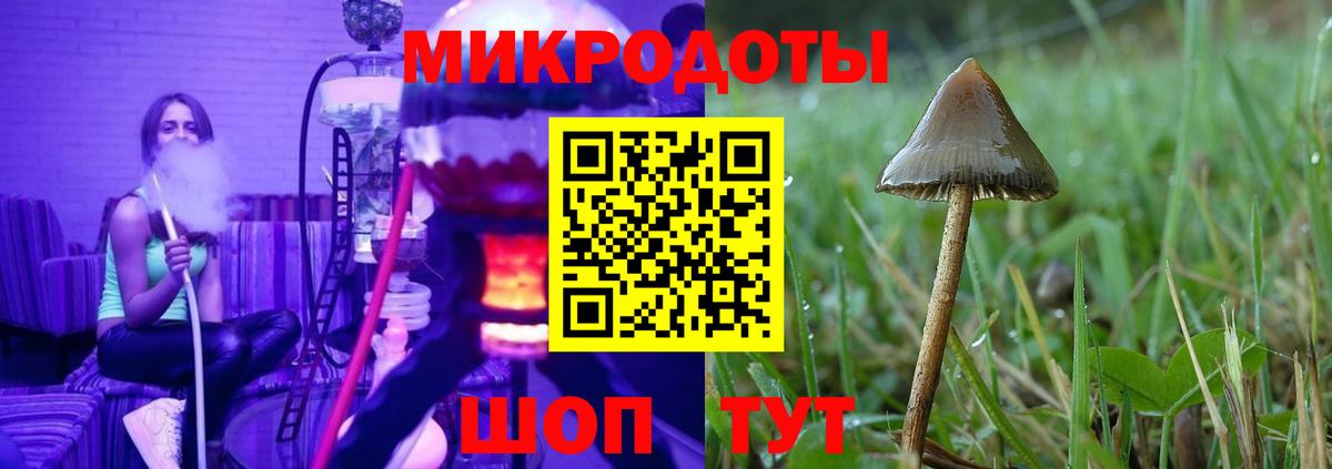 Галлюциногенные грибы MAGIC MUSHROOMS  Вход с VPN  Нурлат 